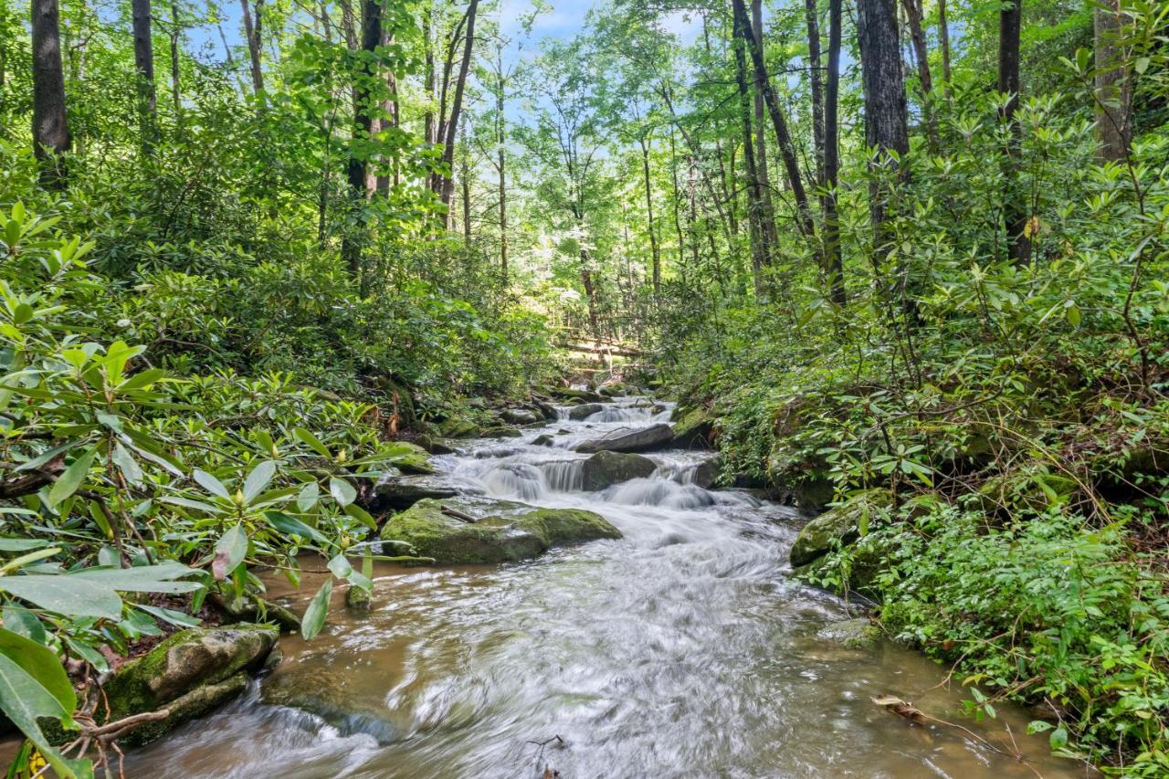 Falling Waters At Rumbling Bald Lake Lure Buitenkant foto